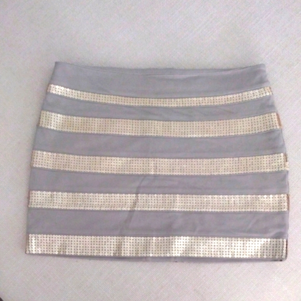 Elegant Gray and Silver Women's Skirt